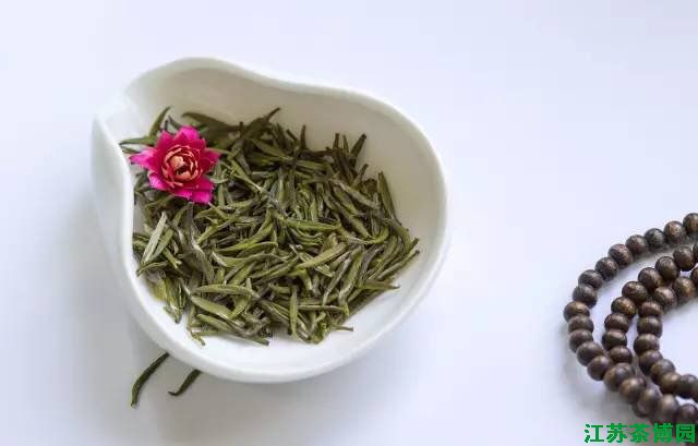 茅山长青