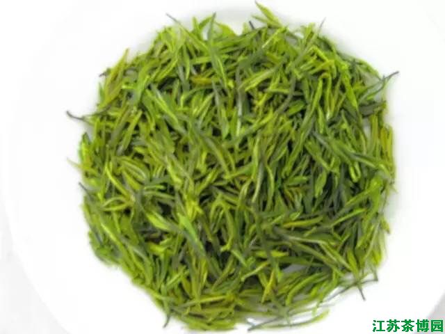 茗苑白茶