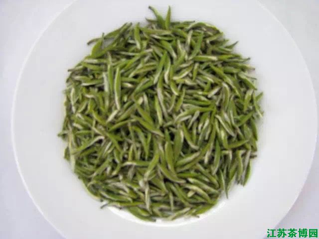 金山翠芽茶