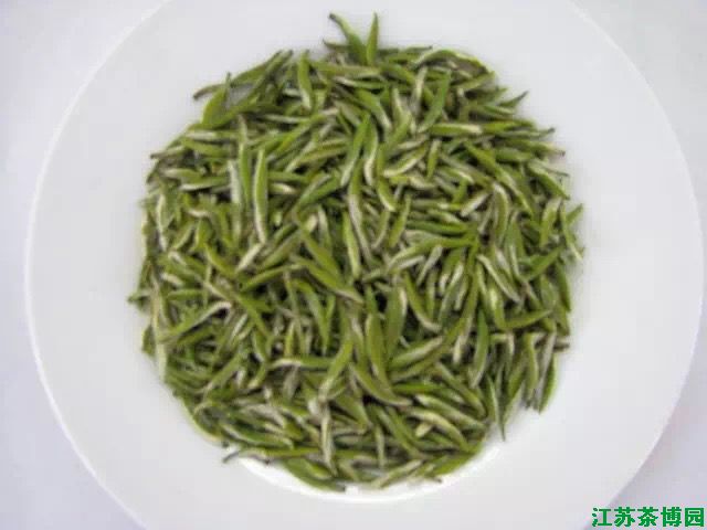 江苏茶博园——金山翠芽茶