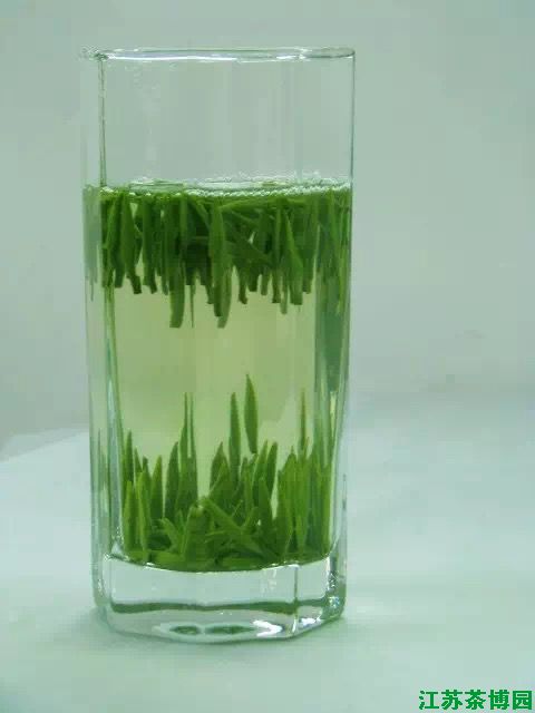 金山翠芽茶