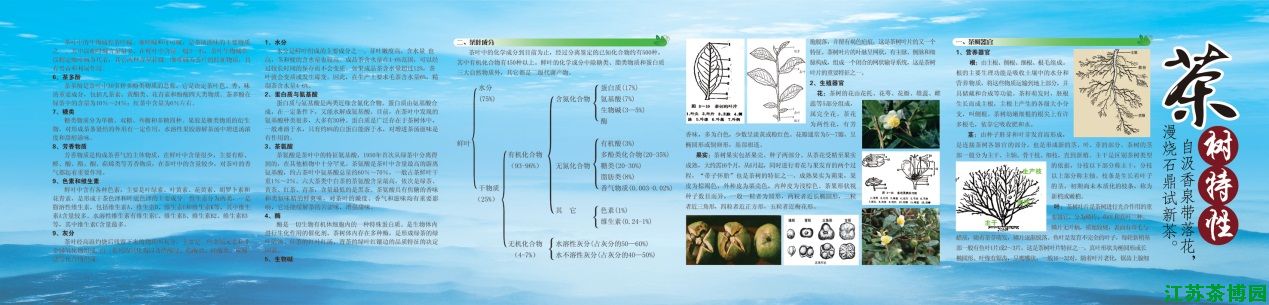 茶香文化